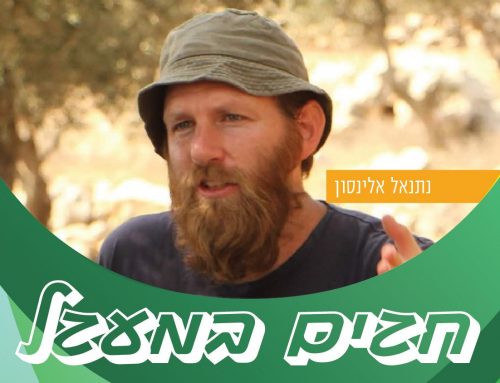 חגים במעגל